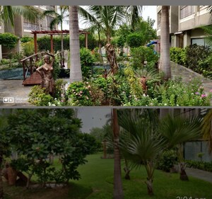 3 BHK Apartment For Rent in Bodakdev