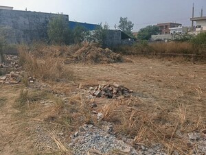 Plot Area in  Plot at Touchwood The Woods Naubasta, Naubasta Kala – for Sale