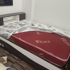 1 BHK Apartment For Rent in Shivsagar CHS Chembur