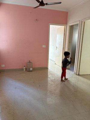 2 BHK Apartment For Rent in SVP Gulmohur Garden, Raj Nagar Extension