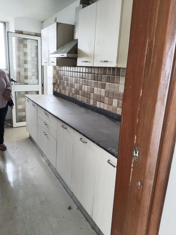 2 BHK + Pooja Room Builder Floor For Rent in RWA Apartments Sector 41