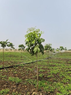 Plot For Sale in Kukatpally