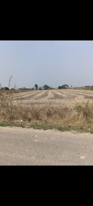 Plot Area in  Land at Velmala – for Sale