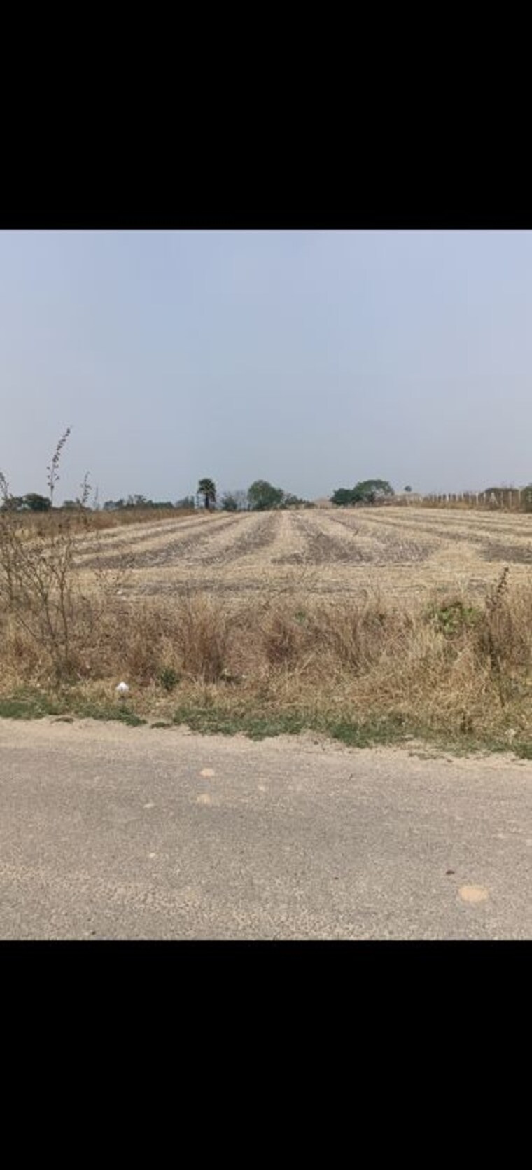 undefined, velmala Commercial Land 1 Acre In Velmala Hyderabad 10207746