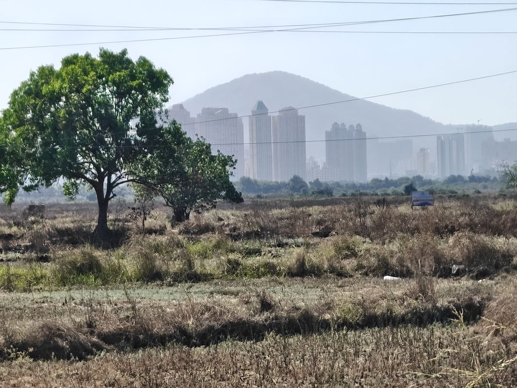 Plot For Sale in Kalher