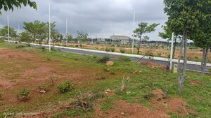 Plot Area in  Plot at Shadnagar – for Sale