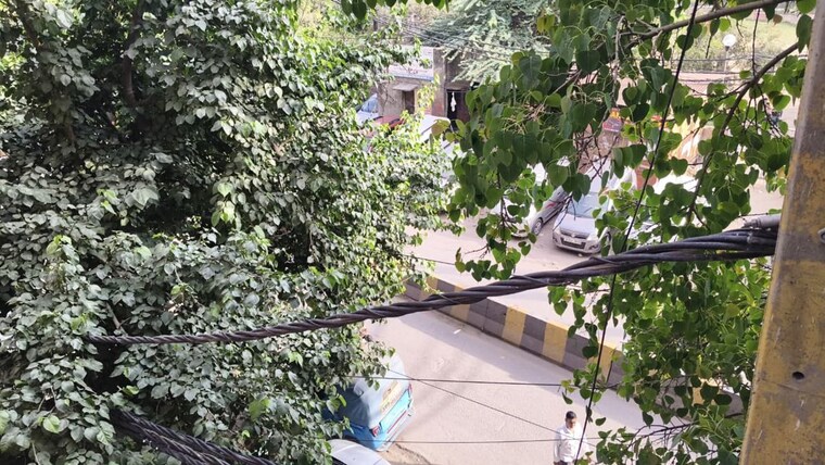 Balcony, govindpuri 3 Bedroom 900 Sq.Ft. Builder Floor In Govindpuri Delhi 10208049