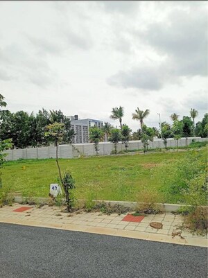 Plot Area in  Plot at Airport County, Devanahalli – for Sale