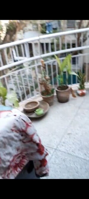 Parking in 3 BHK Apartment at Vasant Kunj – for Sale