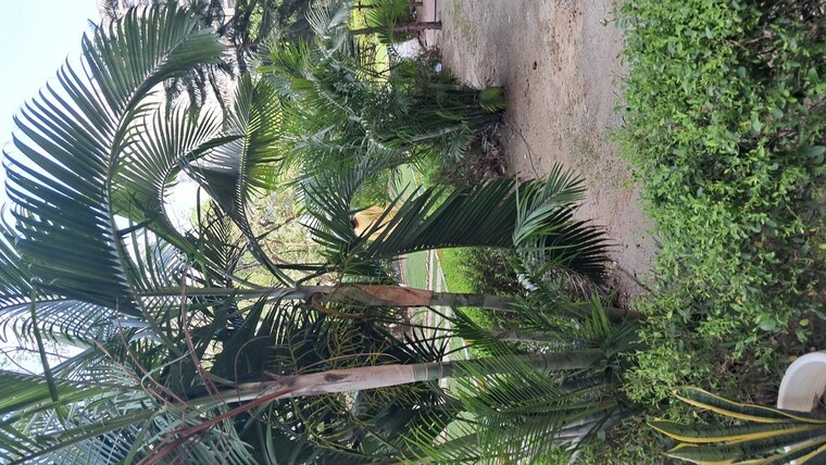 Garden, amrapali-princely-estate 3 Bedroom 1315 Sq.Ft. Apartment In Sector 76 Noida 10208472