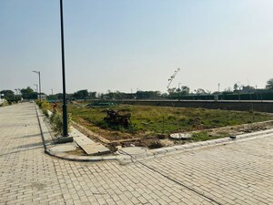 Plot Area in  Plot at Mansha Orchid, Sector 110 – for Sale
