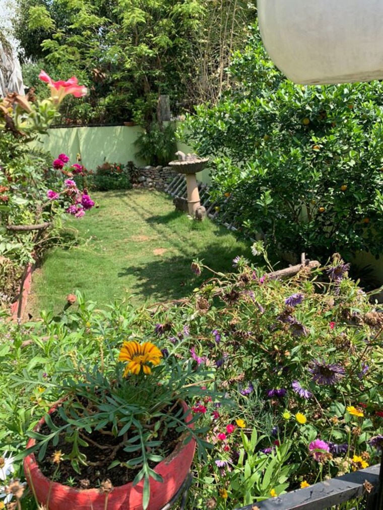 Garden, gomti nagar 1.5 Bedroom 600 Sq.Ft. Builder Floor In Gomti Nagar Lucknow 10208663