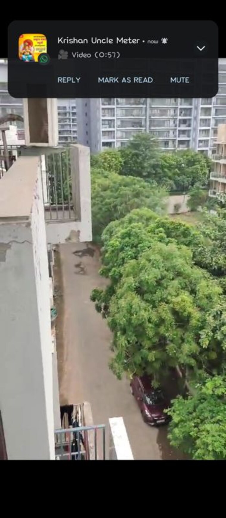 Balcony, ireo-skyon 1 RK 250 Sq.Ft. Apartment In Sector 60 Gurgaon 10208710