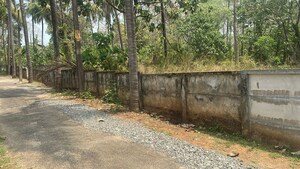 Plot Area in  Plot at Velappaya – for Sale