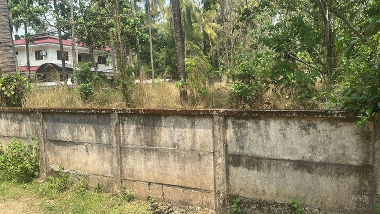 undefined, velappaya  8712 Sq.Ft. Plot In Velappaya Thrissur 10208937