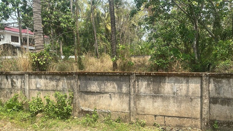 undefined, velappaya  8712 Sq.Ft. Plot In Velappaya Thrissur 10208937