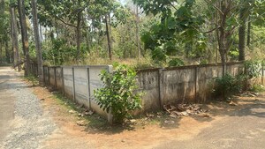  Plot For Sale in Velappaya