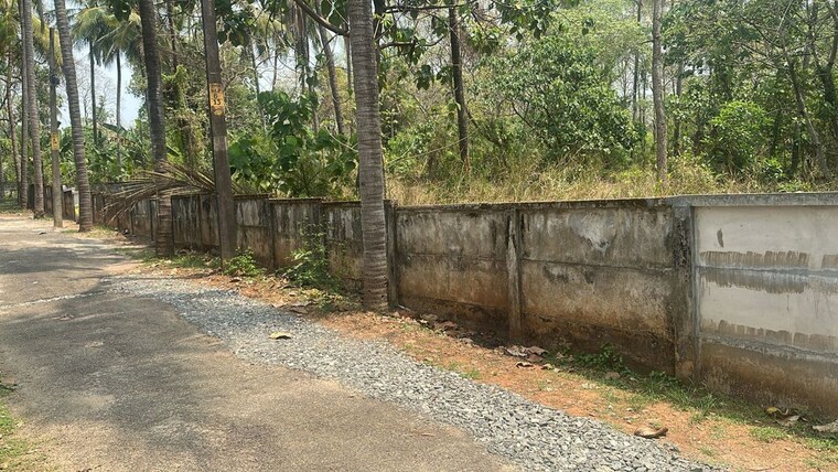 undefined, velappaya  8712 Sq.Ft. Plot In Velappaya Thrissur 10208937
