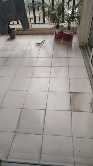 Balcony in 2 BHK Apartment at Amrapali Centurian Park, Tech Zone 4 Greater Noida – for Sale