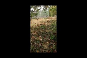 Plot Area in  Plot at Mannuthy – for Sale