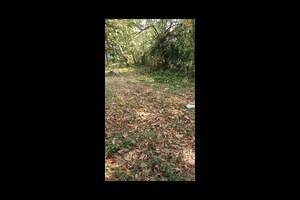 Plot Area in  Plot at Mannuthy – for Sale