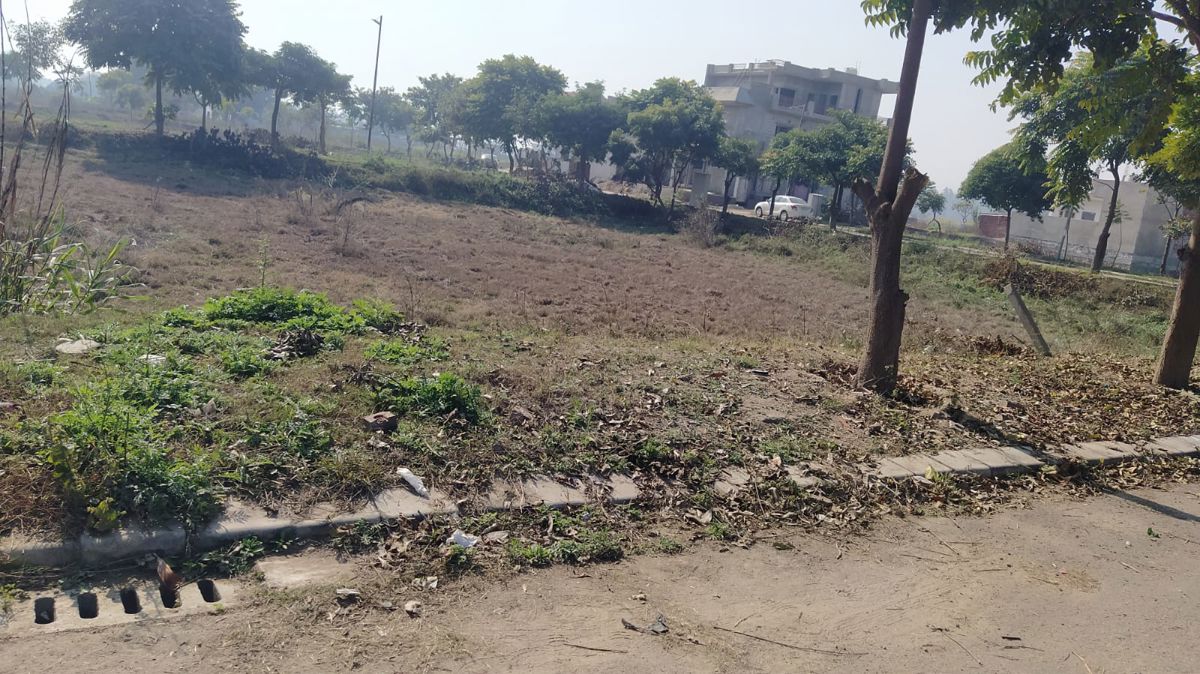 Plot For Sale in Mullanpur