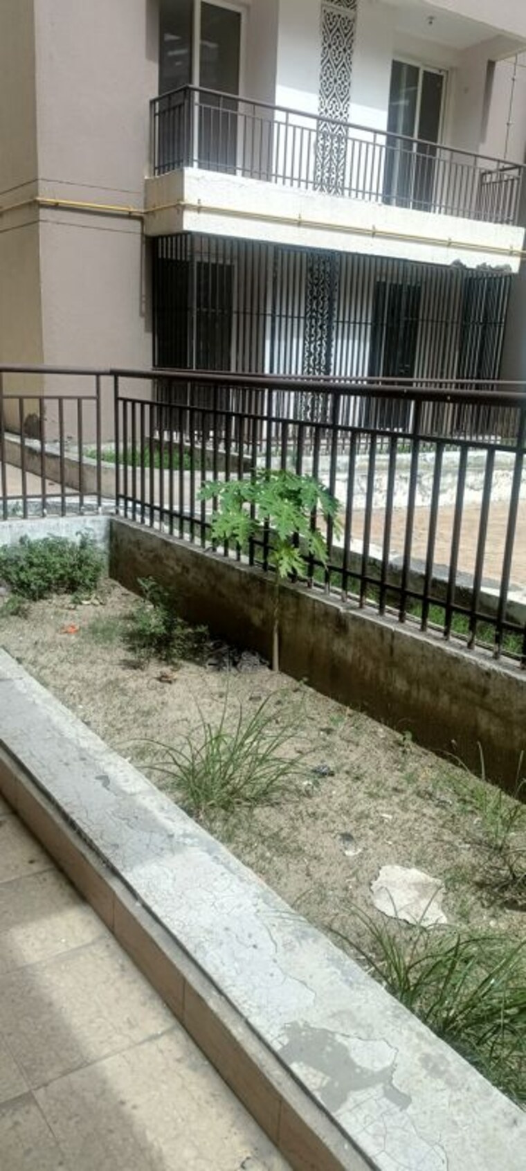 Balcony, amrapali-golf-homes 3 Bedroom 1595 Sq.Ft. Apartment In Sector 4 Greater Noida Greater Noida 8761552