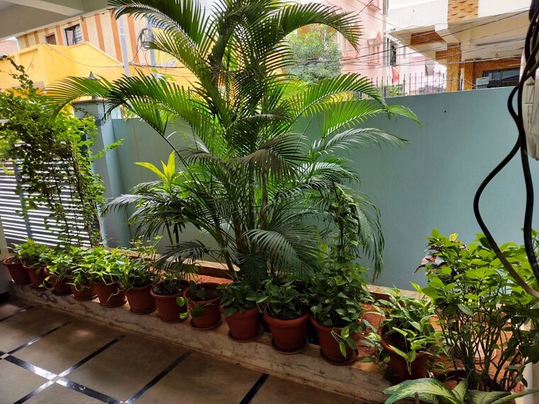 Garden, sai-residency-attapur 4 Bedroom 7000 Sq.Ft. Apartment In Attapur Hyderabad 10209703