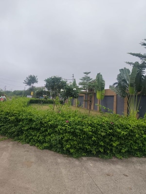  Plot – Garden View at Jhalariya - for Sale