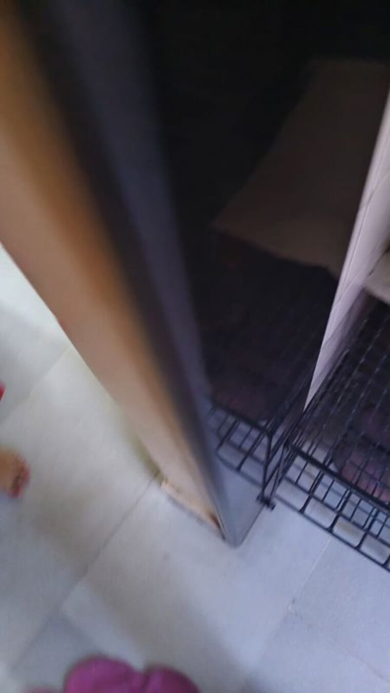 Other, somwar peth 2 Bedroom 1050 Sq.Ft. Apartment In Somwar Peth Pune 10209979