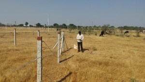 Plot Area in  Plot at Ojhar – for Sale