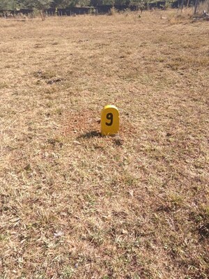 Plot Area in  Plot at Ojhar – for Sale