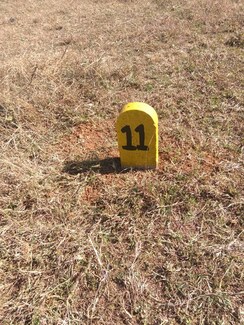 Plot For Sale in Ojhar