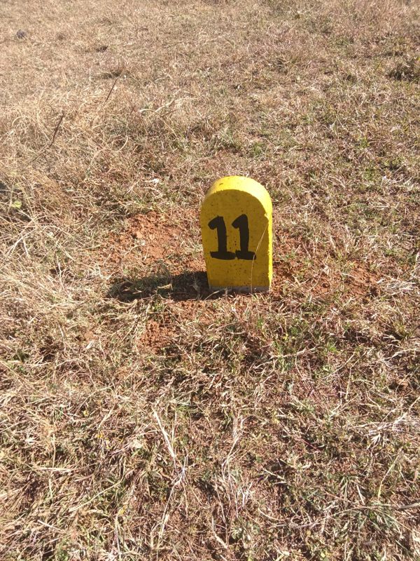 Plot For Sale in Ojhar