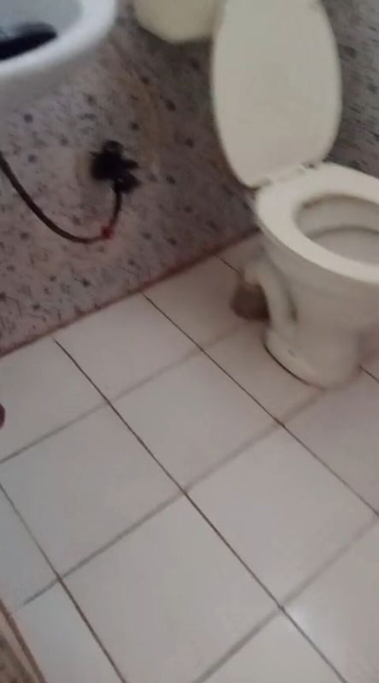 Bathroom, krishna-apartment-noida 2 Bedroom 850 Sq.Ft. Builder Floor In Sector 49 Noida 10210195