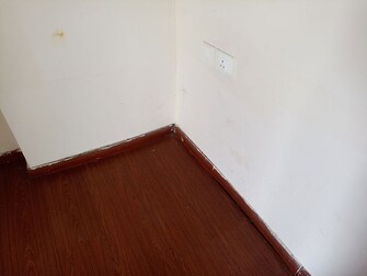 2 BHK 835 Sq.Ft. Apartment in Amrapali Golf Homes
