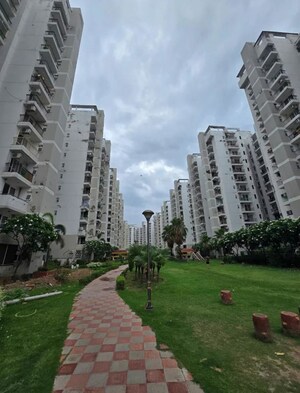 2 BHK Apartment – Exterior View View at NK Sharma Savitry Greens, Lohgarh - for Rent