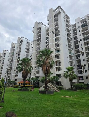 2 BHK Apartment For Rent in NK Sharma Savitry Greens, Lohgarh
