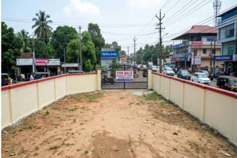 Exterior View, mannuthy Commercial Land 4356 Sq.Ft. In Mannuthy Thrissur 10211078