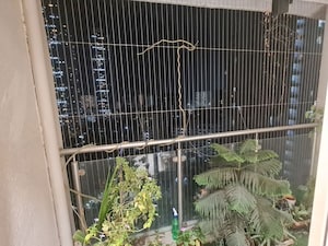 Balcony in 2.5 BHK Apartment at Radha Madhav, Borivali East – for Rent