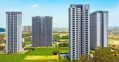 2 BHK Apartment For Rent in Paras Dews