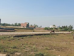 Plot For Sale in Raebareli Road