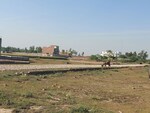 1000 Sq.Ft. Plot in Raebareli Road