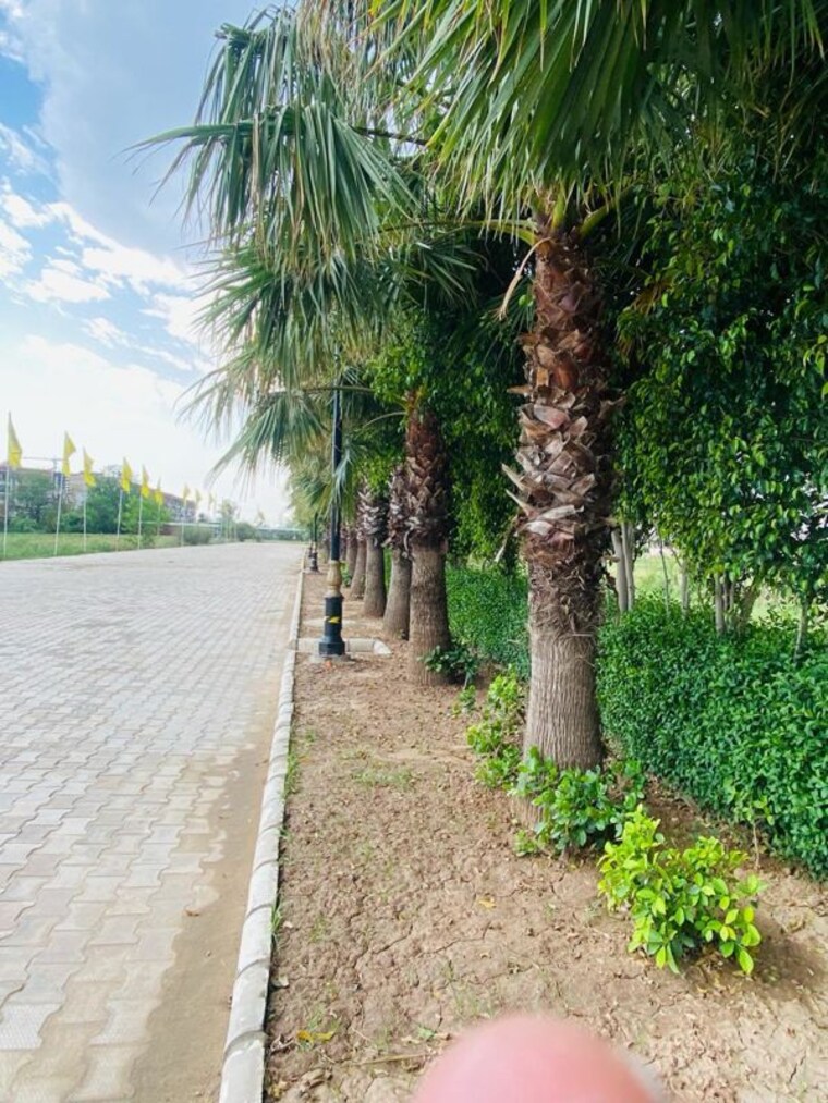 Garden, ambala highway  210 Sq.Yd. Plot In Ambala Highway Zirakpur 10210972