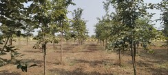 Plot For Sale in Ambala Highway