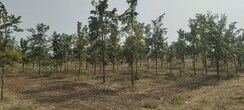 Plot For Sale in Ambala Highway