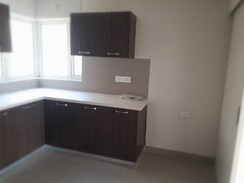 3 BHK + Pooja Room,Servant Room,Study Room,Basement,Store Room Apartment For Sale in Ireo The Corridors
