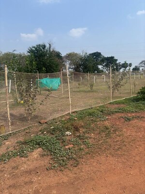 Plot Area in  Plot at Kunchanapalli – for Sale