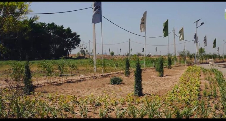 undefined, panchkula urban estate  125 Sq.Yd. Plot In Panchkula Urban Estate Panchkula 10212565