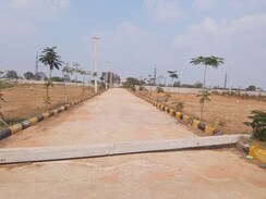 Plot For Sale in Shadnagar